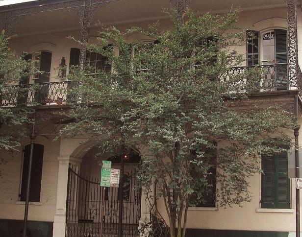 Ein zweistöckiges Haus mit verzierten Balkonen und einem Baum im Vordergrund.