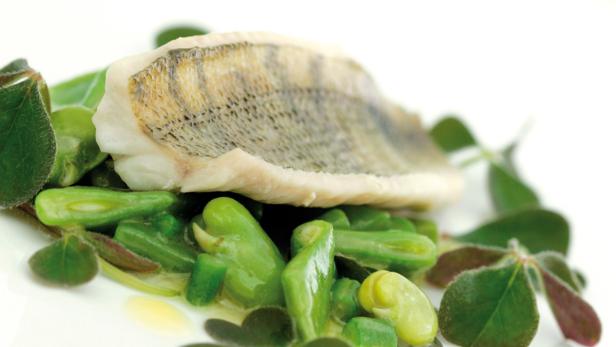 Ein Zanderfilet liegt auf einem Bett aus grünen Bohnen und Kräutern.