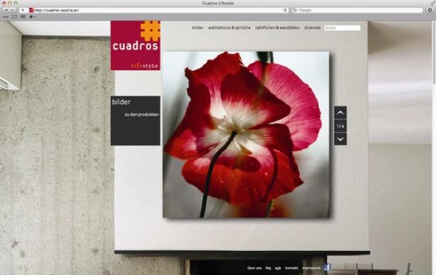 Die Webseite von Cuadros Lifestyle zeigt ein Bild einer roten Mohnblume.
