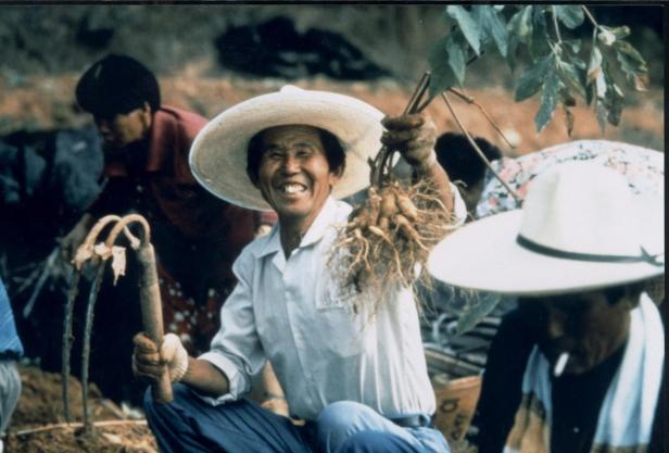 Ein lächelnder Mann mit Hut hält Ginsengwurzeln in der Hand.