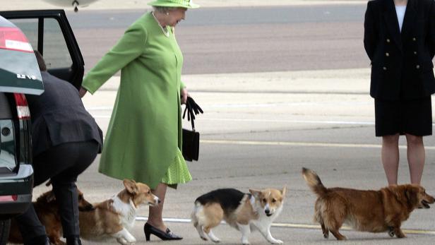 Lieblingshunde der Queen sind vom Aussterben bedroht