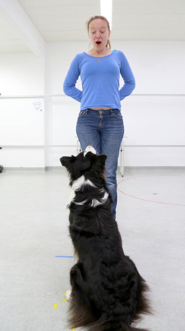 Lisa Wallis mit Border Collie im Clever Dog Lab / …