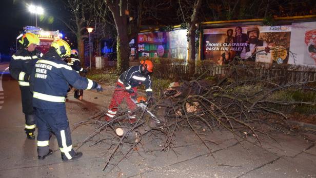 Feuerwehr: 120 Einsätze in Wiener Sturmnacht