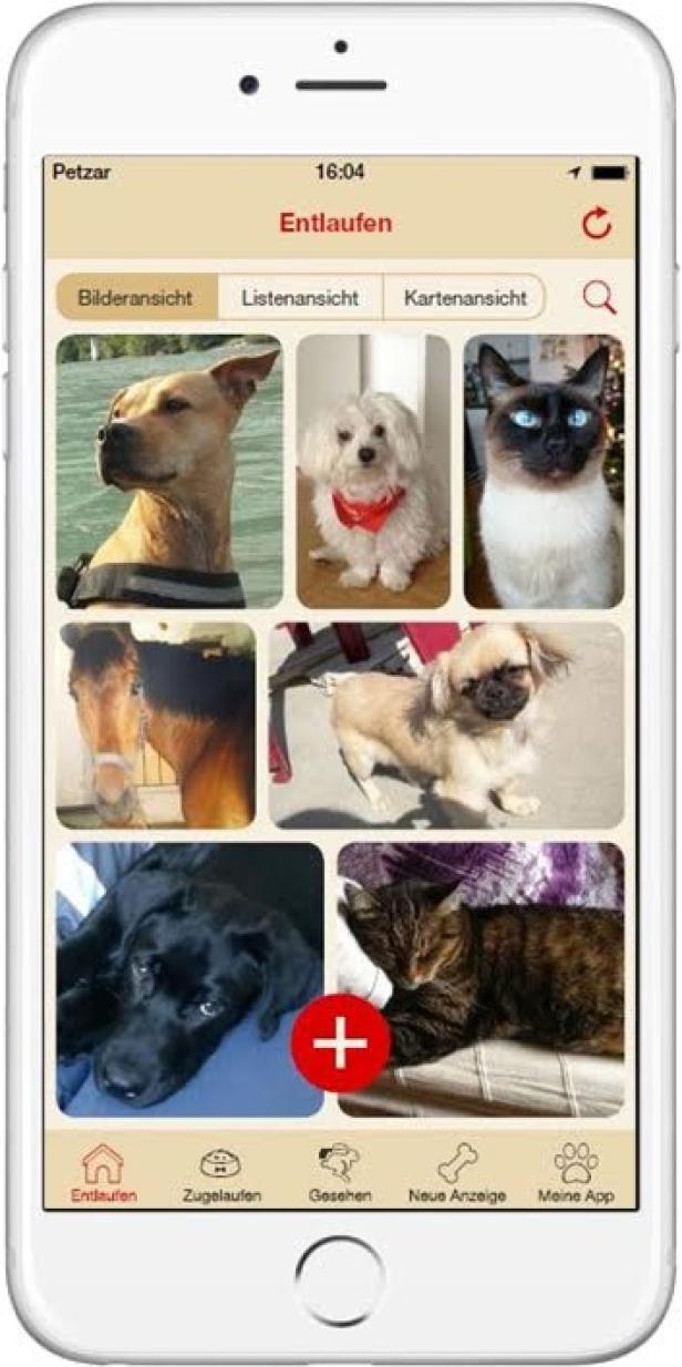 Petzar - App 1 - Bazar Media