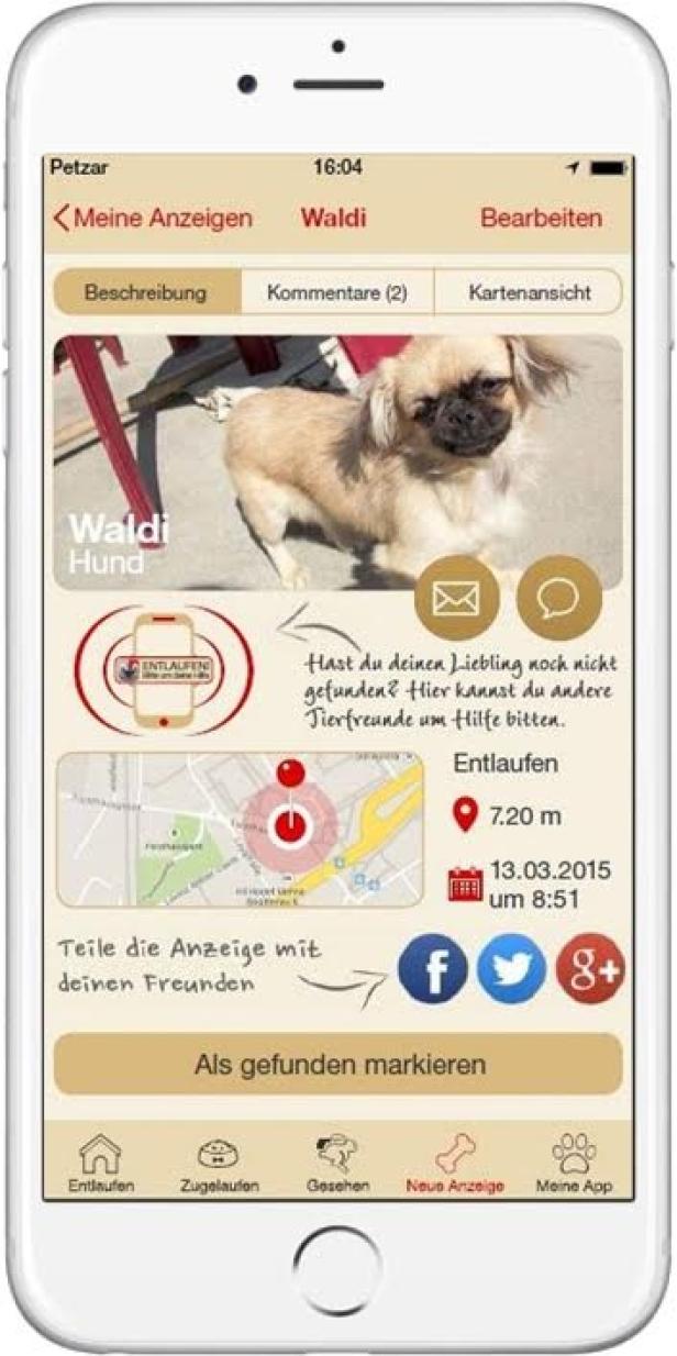 Petzar - App 2 - Bazar Media