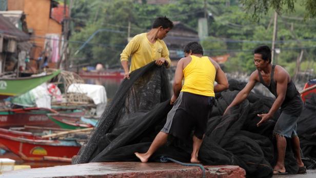 Haiyan fordert über 1000 Todesopfer