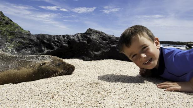 Ein Junge liegt am Strand neben einer schlafenden Robbe.