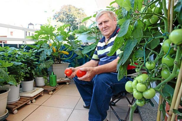 Urban Gardening - Gärtner Biorama pflegt Stadtgärtner