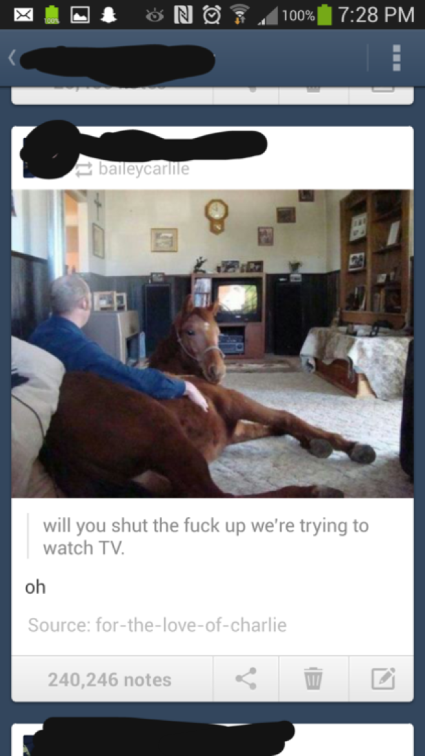 Ein Mann sitzt mit einem Pferd auf einem Sofa und schaut fern.