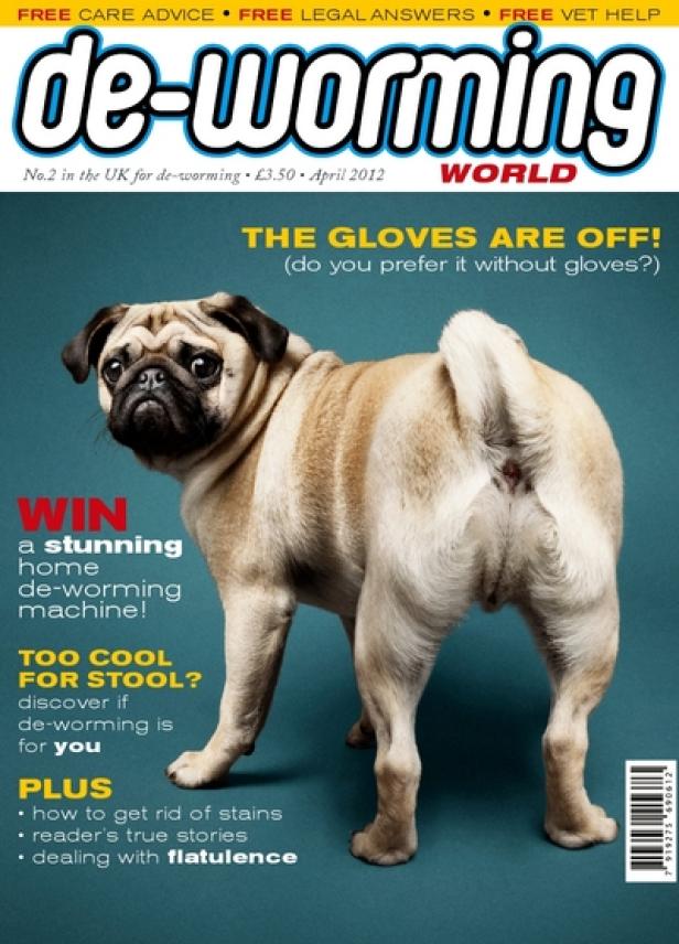 Lürzers's Archiv - Untouchable Covers - Leo Burnett/Arc London Ein Mops steht vor einem türkisfarbenen Hintergrund, als Titelbild für ein Entwurmungsmagazin.