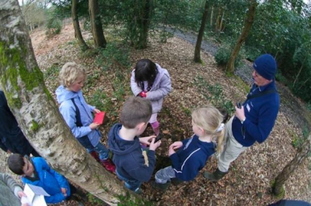 Eine Gruppe Kinder und ein Erwachsener stehen im Wald und betrachten etwas auf dem Boden.