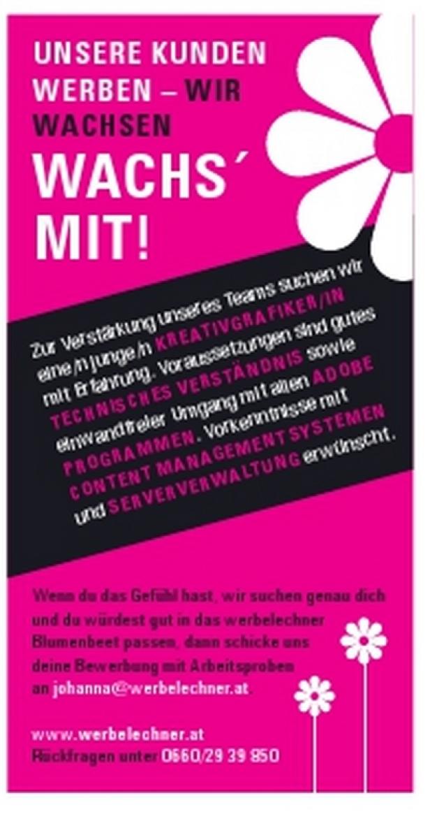Kleine Zeitung - Job & Karriere Award - Stellenanzeige - werbelechner - Publikumsliebling Eine Werbeanzeige von Werbelechner sucht einen/eine Kreativgrafiker/in.