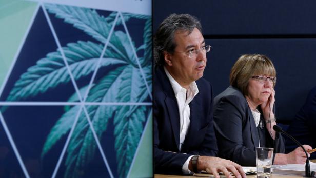 Zwei Personen sitzen an einem Tisch vor einem Bildschirm mit einem Cannabisblatt-Motiv.
