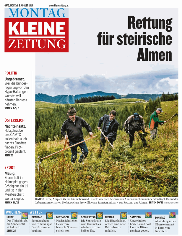 Freiwillige retten eine steirische Alm, indem sie Farne und kleine Bäume entfernen.