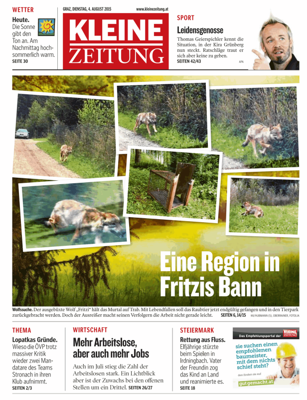 Die Zeitung „Kleine Zeitung“ titelt über die Wolfssuche nach dem entlaufenen Wolf „Fritzi“.