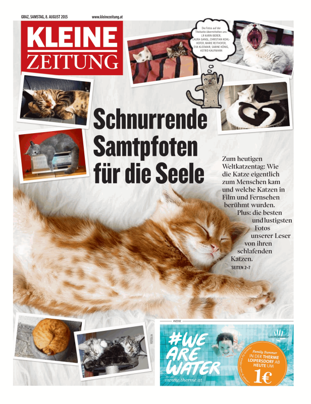Titelseite der Kleinen Zeitung vom 8. August 2015 mit dem Titel „Schnurrende Samtpfoten für die Seele“ und mehreren Katzenfotos.