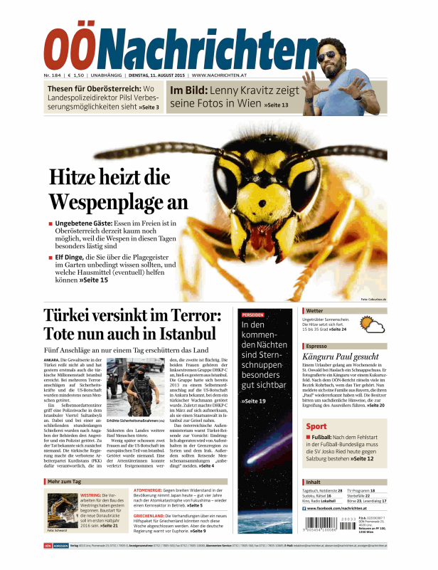 Nahaufnahme einer Wespe auf der Titelseite der OÖNachrichten.