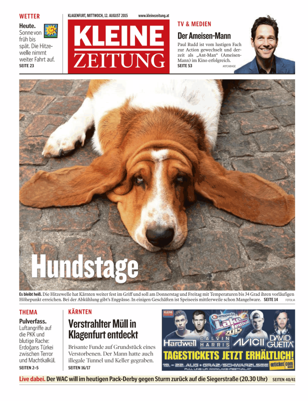 Ein Basset Hound liegt auf einem Steinboden.