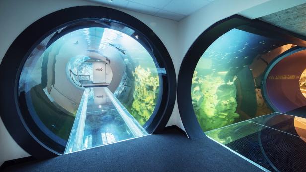 Wiener Haus des Meeres bekommt Atlantik-Tunnel
