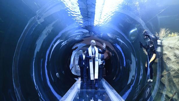 Wiener Haus des Meeres bekommt Atlantik-Tunnel