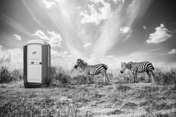 Verträumte afrikanische Tierwelten