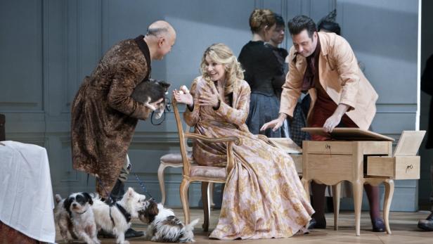 Auf einer Theaterbühne interagieren mehrere Personen mit Hunden und einer Katze.