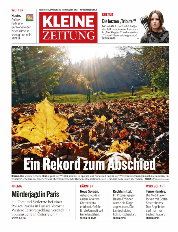 Eine Person steht auf einer Wiese voller Herbstlaub.