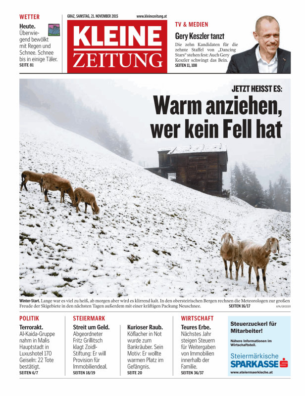 Eine Gruppe Schafe steht auf einer schneebedeckten Wiese.