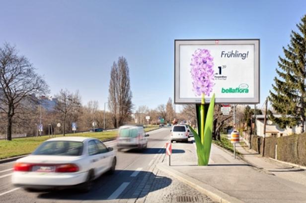 Eine Werbetafel am Straßenrand wirbt mit einer Hyazinthe für „bellaflora“.