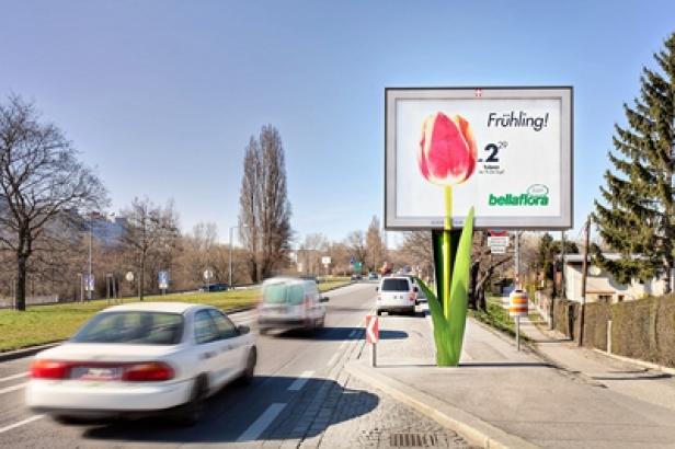 Eine „bellaflora“-Werbetafel mit einer Tulpe am Straßenrand.
