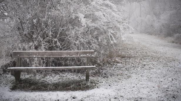 Eine schneebedeckte Bank steht neben einem Busch in einer winterlichen Landschaft.