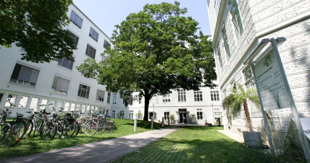 MedUni Wien unter besten "jungen" Hochschulen