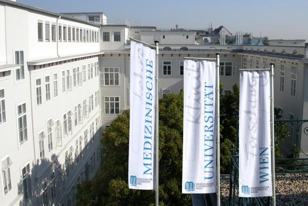 MedUni Wien unter besten "jungen" Hochschulen