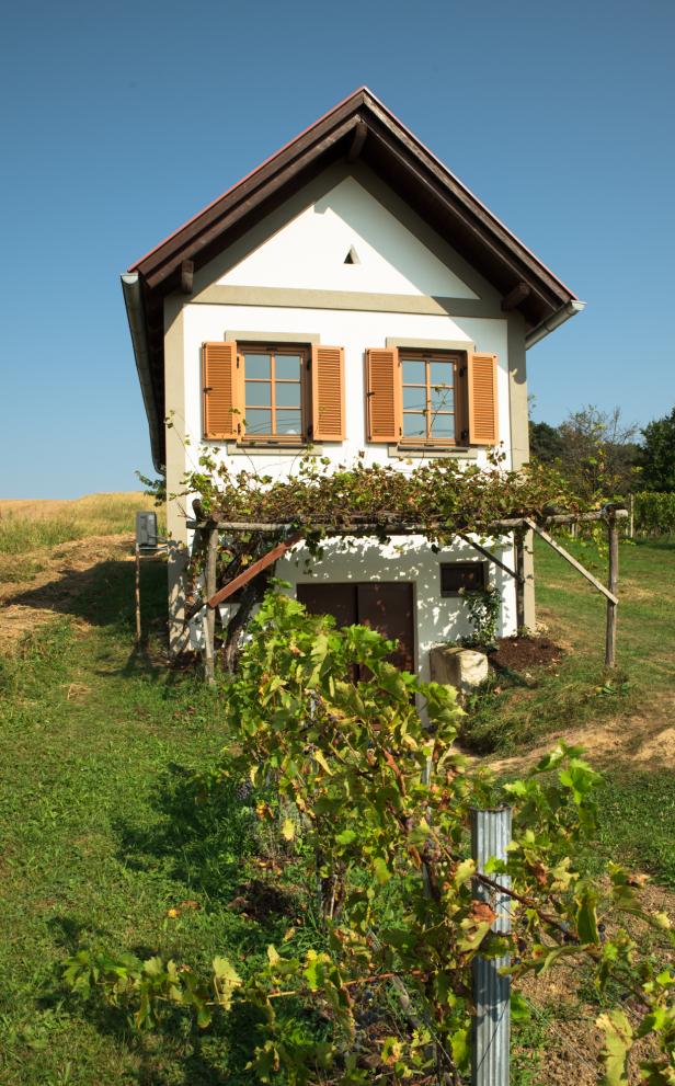 Urlaubsidylle zwischen Reben im Südburgenland