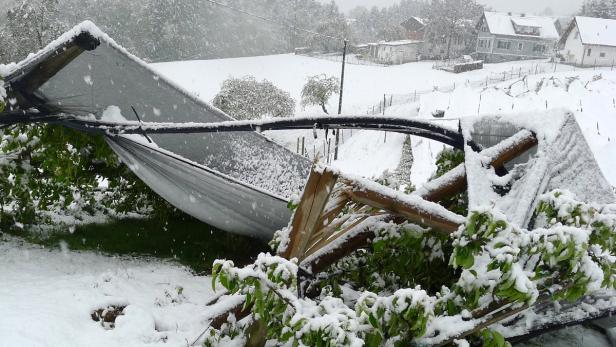 SCHNEEFÄLLE: BAUERN BEFÜRCHTEN SCHÄDEN IN DREISTEL