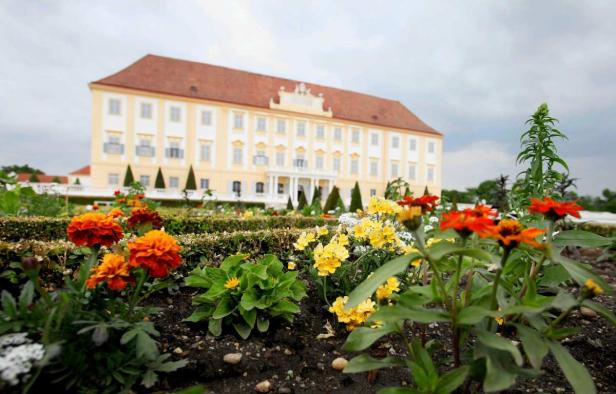 Die ersten Sommerblumen im Schlossgarten