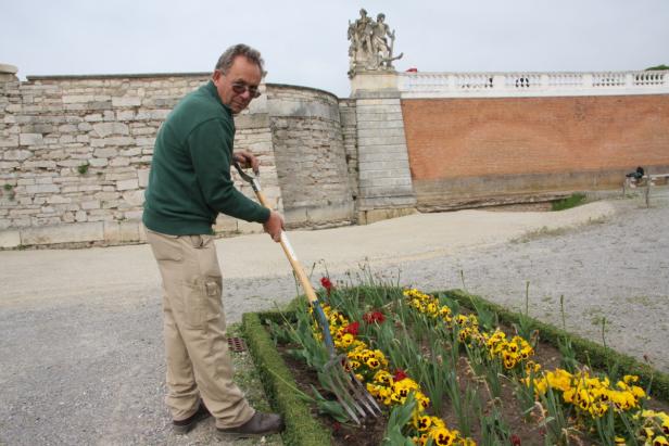 Die ersten Sommerblumen im Schlossgarten