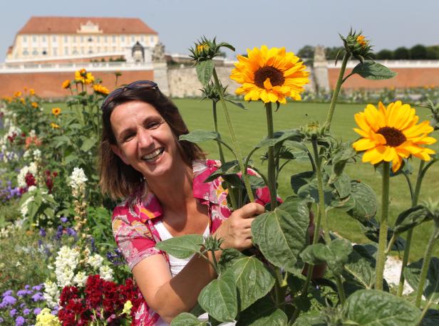 Die ersten Sommerblumen im Schlossgarten