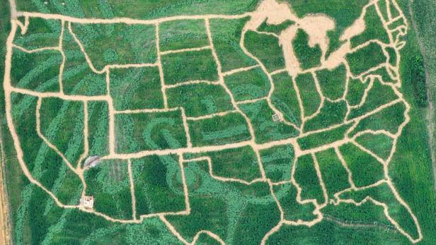 Luftaufnahme eines Maislabyrinths, das als Karte der Vereinigten Staaten gestaltet ist.