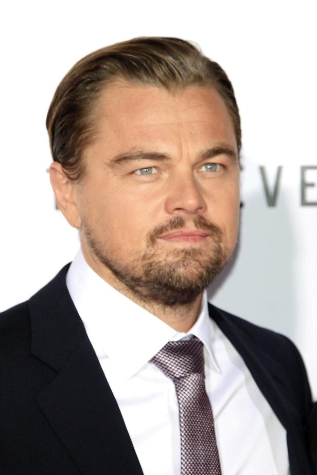 Leonardo DiCaprio: Trennung von Kelly Rohrbach