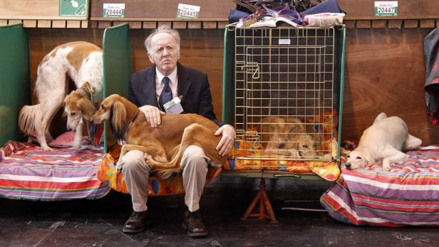 Ein Mann sitzt inmitten von vier Saluki-Hunden auf einer Hundeausstellung.