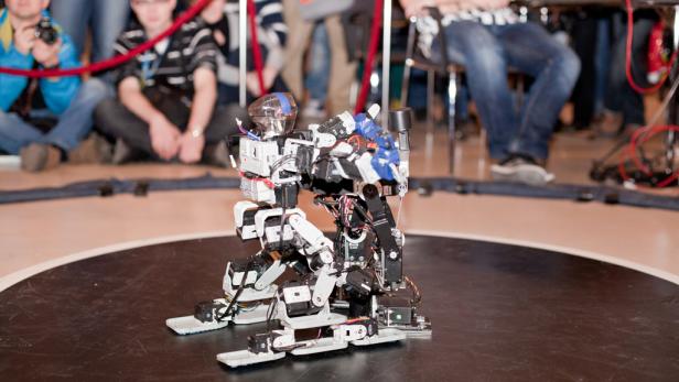 Polen dominiert RobotChallenge in Wien