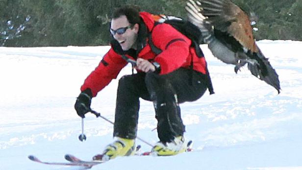 Ein Mann fährt Ski, während ein großer Vogel hinter ihm herfliegt.