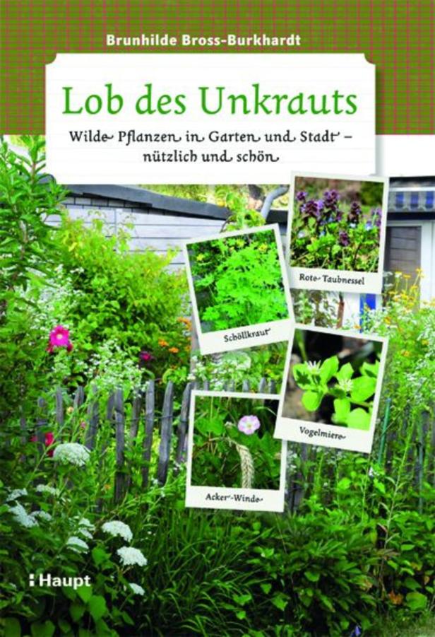 Die Vorteile von Unkraut im Garten