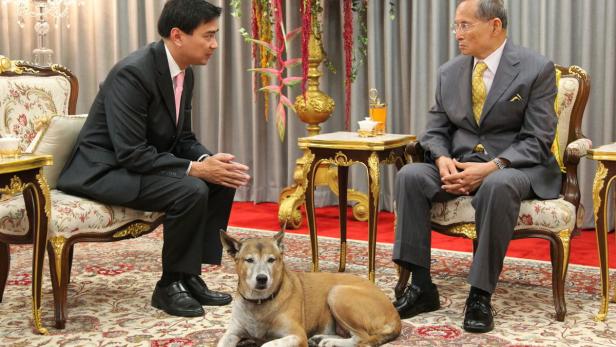 Thailand trauert um verehrten Hund