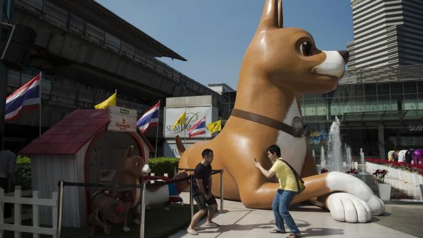 Thailand trauert um verehrten Hund