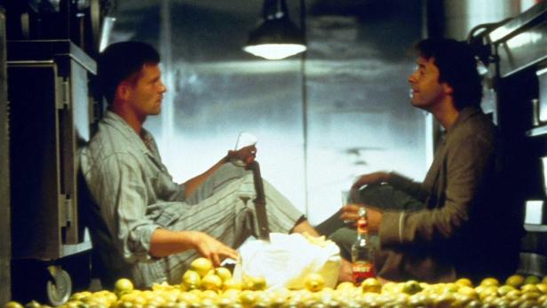 Zwei Männer sitzen inmitten von Zitronen und trinken.