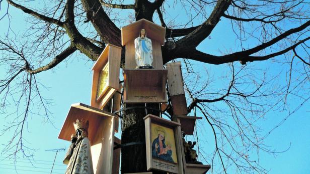 Ein Baum ist mit Heiligenstatuen und religiösen Bildern geschmückt.