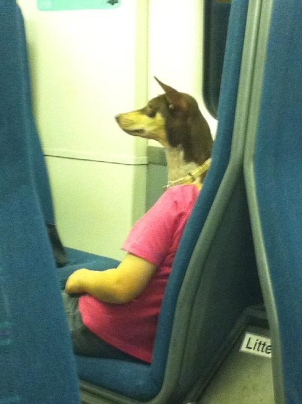 Ein Hund mit Halsband und rosa T-Shirt sitzt in einem Zug.