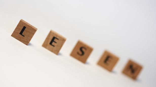 Holzwürfel buchstabieren das Wort „Lesen“.